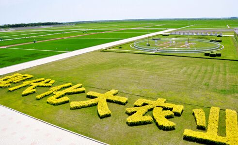 cdd882c254.jpg timg.jpg